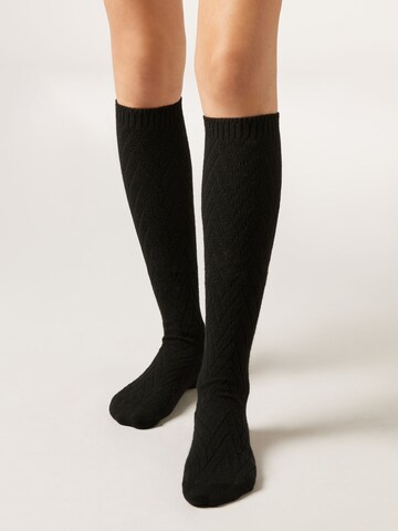 CALZEDONIA Kniestrümpfe in Schwarz: Vorderseite