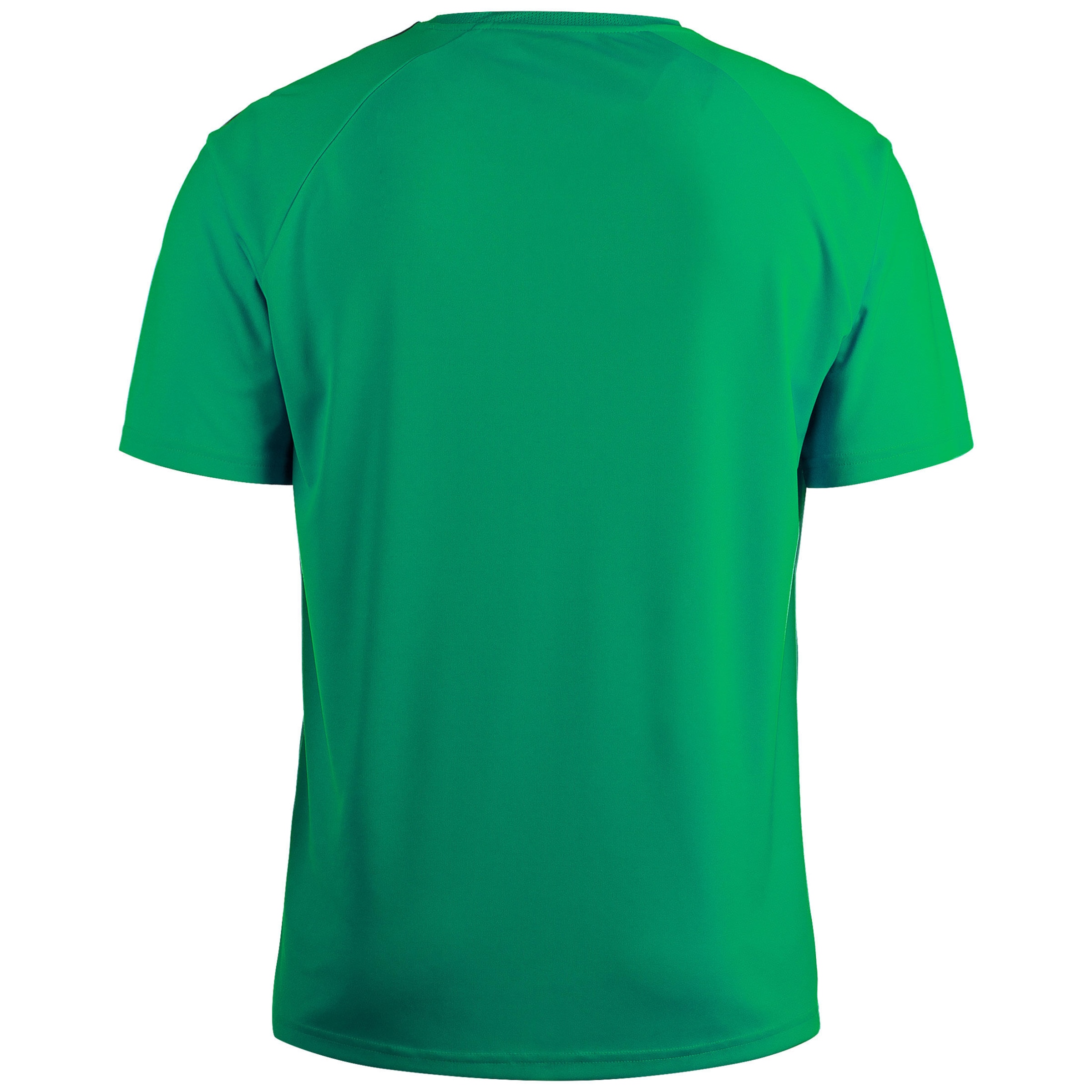 PUMA Dres 'Team Liga' | zelena barva