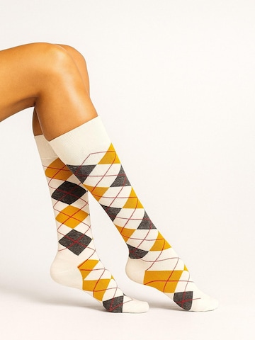 Lycille Kniestrümpfe in Beige