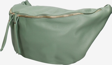 Gave Lux Shoulder Bag 'Caelia Plus' in Green: front