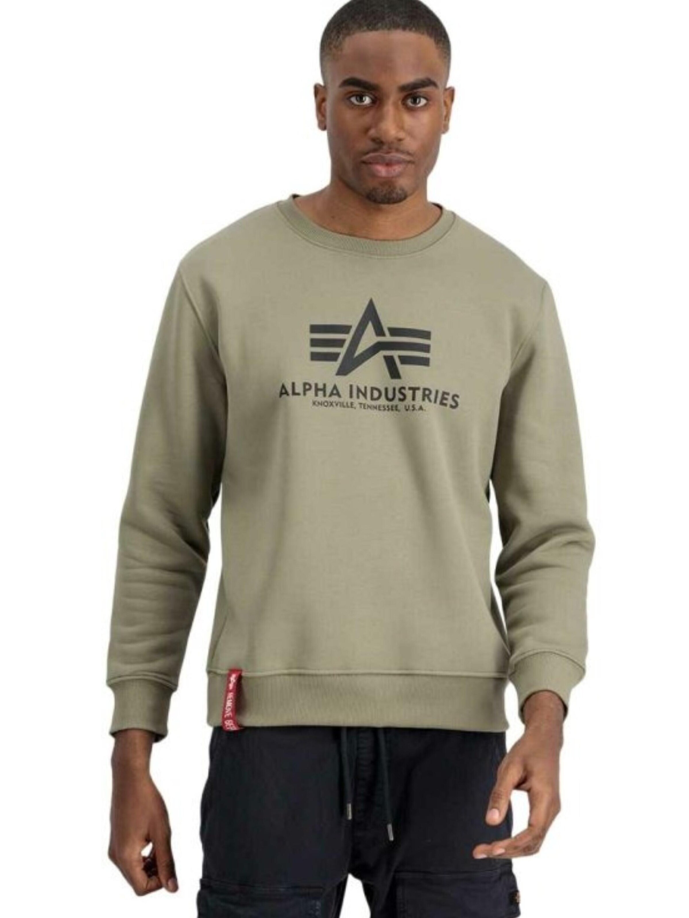 ALPHA INDUSTRIES Sweatshirt 'Basic Logo'‌‌‌‌‌‌‌‌ in Grün
