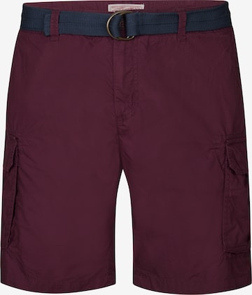 Petrol Industries Regular Cargo Pants in Brown: front