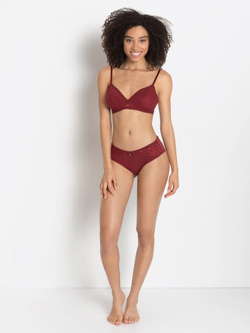 s.Oliver Triangle Bra in Red