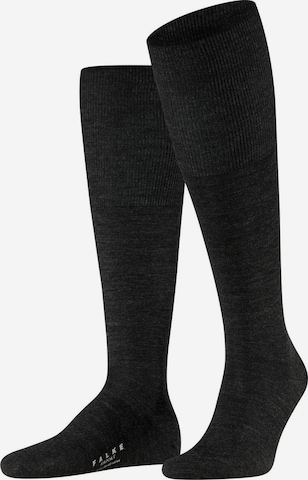 FALKE - Calcetines hasta la rodilla en negro: frente