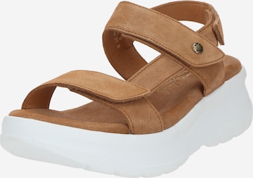 PANAMA JACK Sandaler 'Noor' i brun: forside