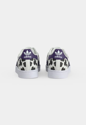 ADIDAS ORIGINALS Superge 'SUPERSTAR II' | bela barva