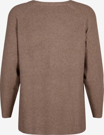 Pull-over 'CASUNNY' Zizzi en beige