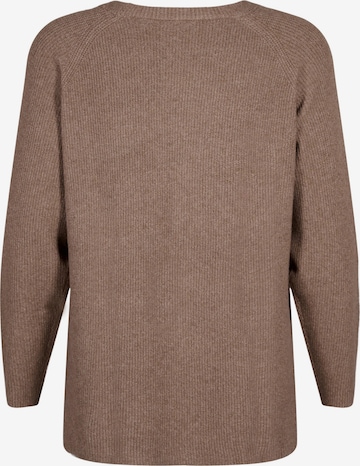 Pull-over 'CASUNNY' Zizzi en beige