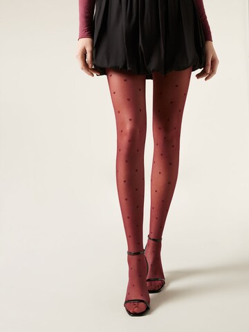 CALZEDONIA Strumpfhose in Pink: Vorderseite