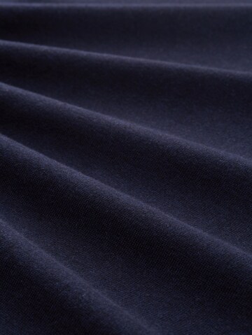 TOM TAILOR Pullover in Blau