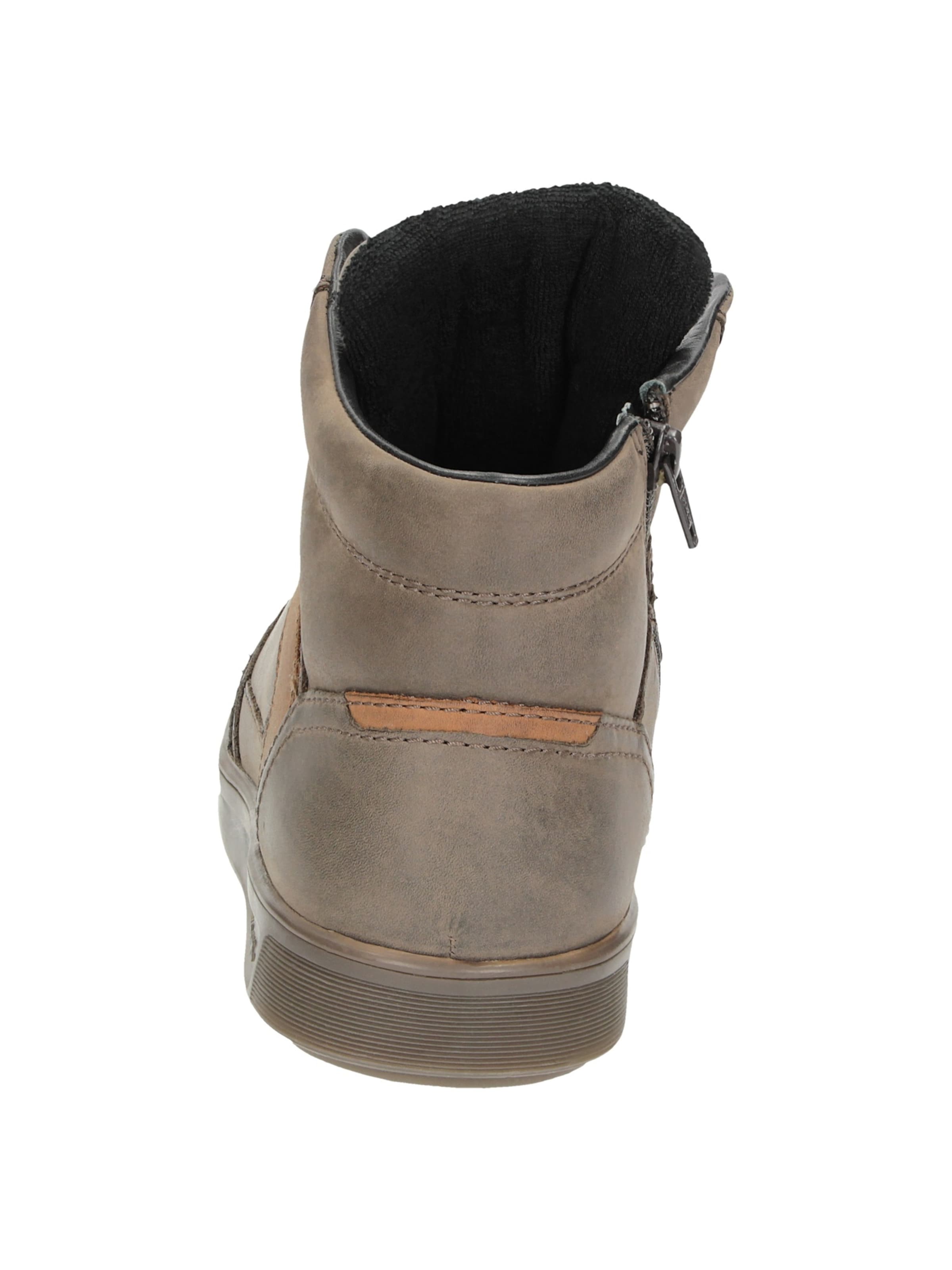 SIOUX Boots ' Tedroso-707-TEX ' in Bruin