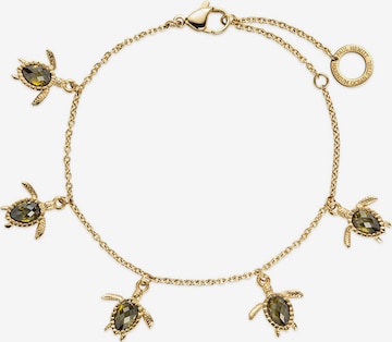 Paul Hewitt Bracelet in Gold: front