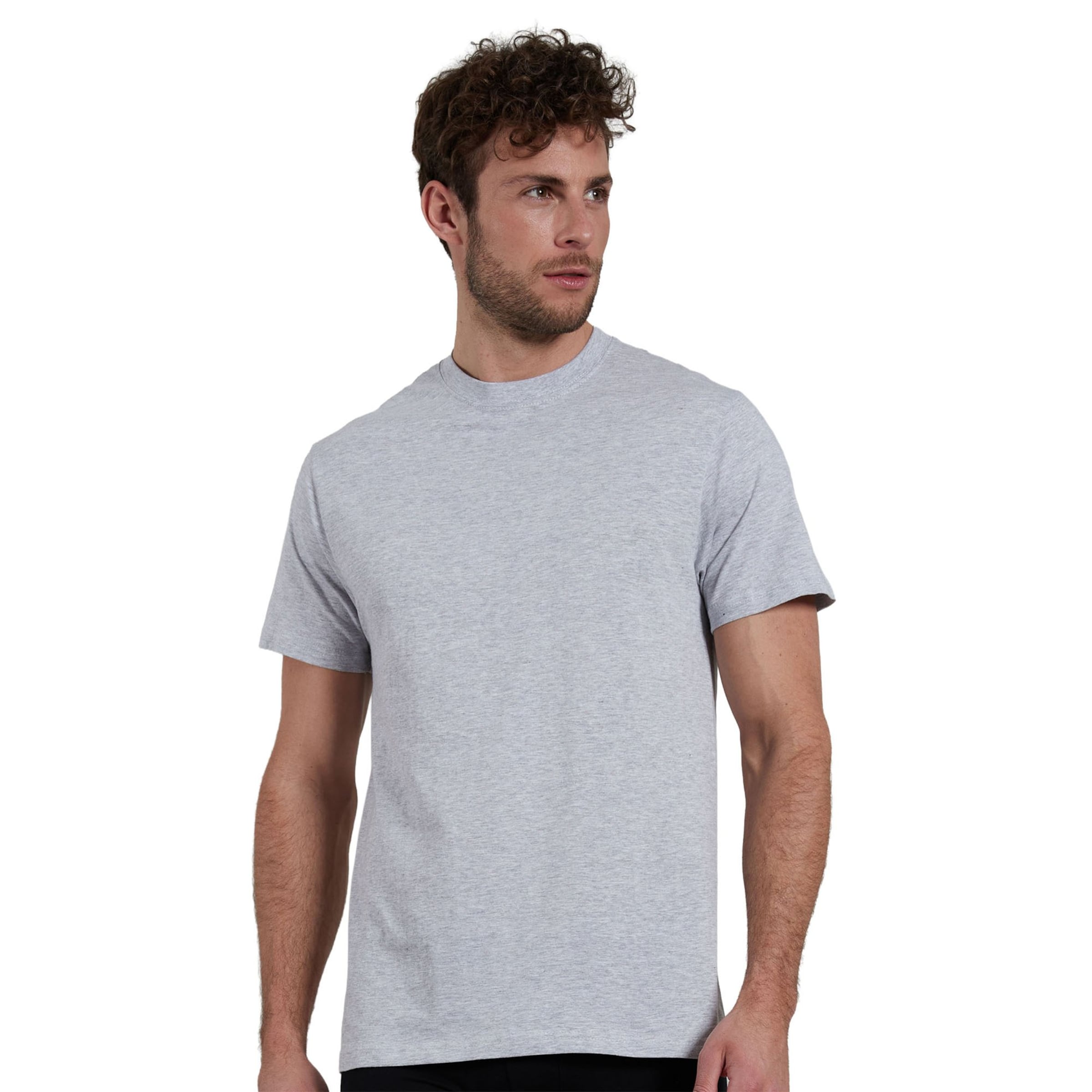 Götzburg Shirt in Grey: front