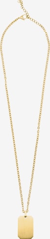 Steelwear Collier 'Melbourne' in Gold: predná strana