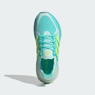 ADIDAS PERFORMANCE - Zapatillas de running 'Ultraboost 5' en azul