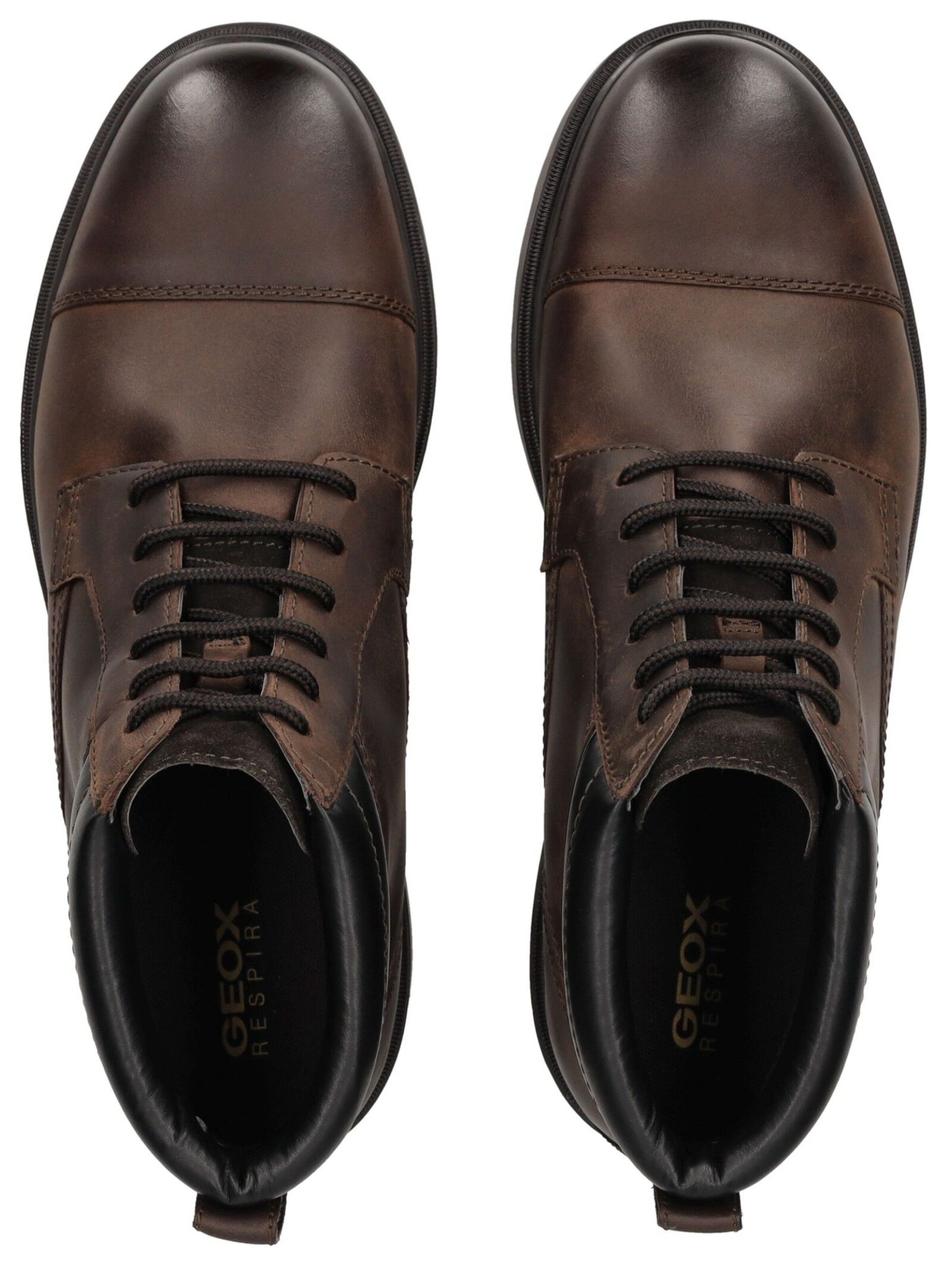GEOX Schnürboots in Braun