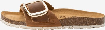 CAMEL ACTIVE Mules in Brown