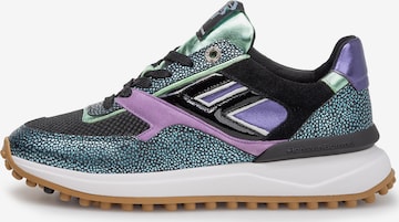 Baskets basses 'Noppi 36' Floris van Bommel en bleu : devant