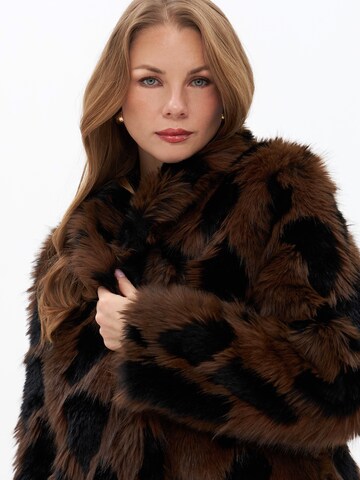 Passioni Winter Jacket in Brown