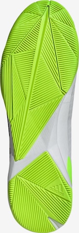 ADIDAS PERFORMANCE Voetbalschoen 'Predator Accuracy.3' in Wit