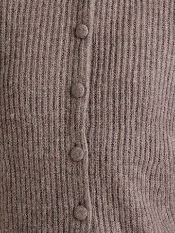 Cardigan & Other Stories en marron