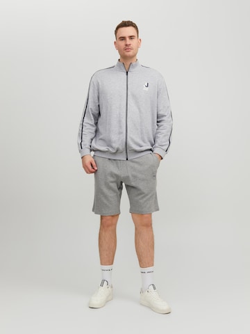 Jack & Jones Plus Regular Pants 'Shark' in Grey