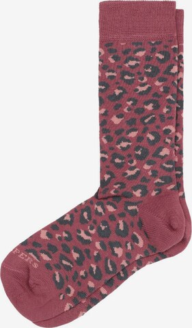 Scalpers Ponožky – pink: přední strana