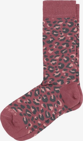 Scalpers Socken in Pink: predná strana