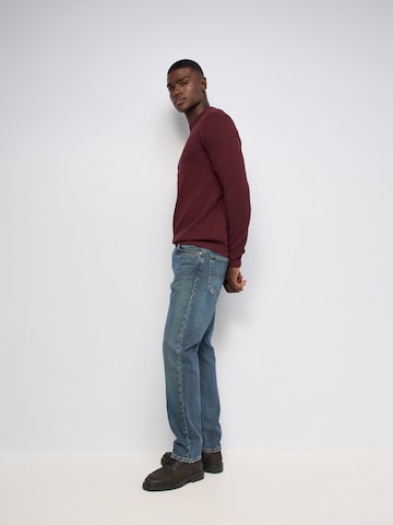 Salsa Jeans Trui in Rood