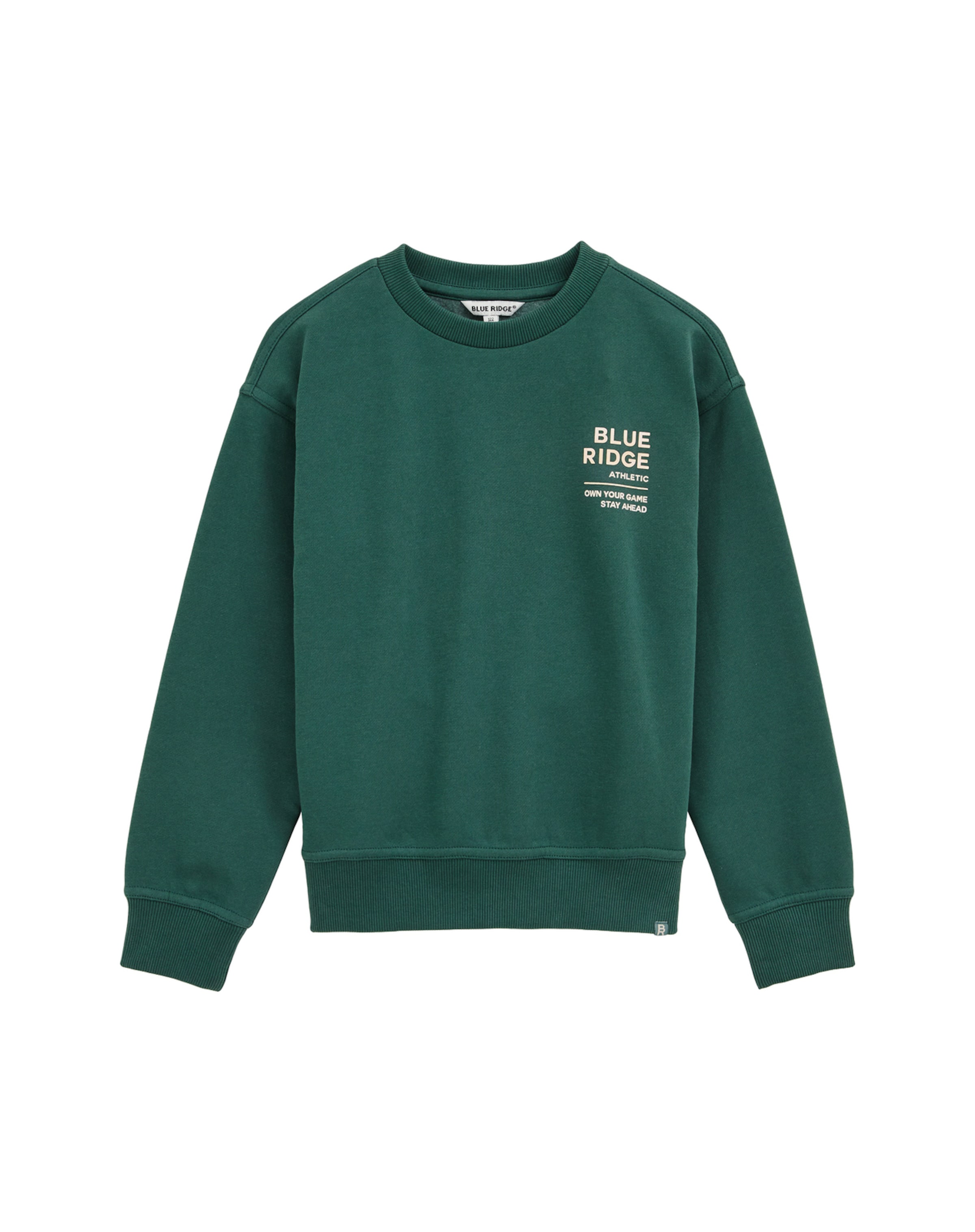 WE Fashion Sweatshirt i grøn: forside