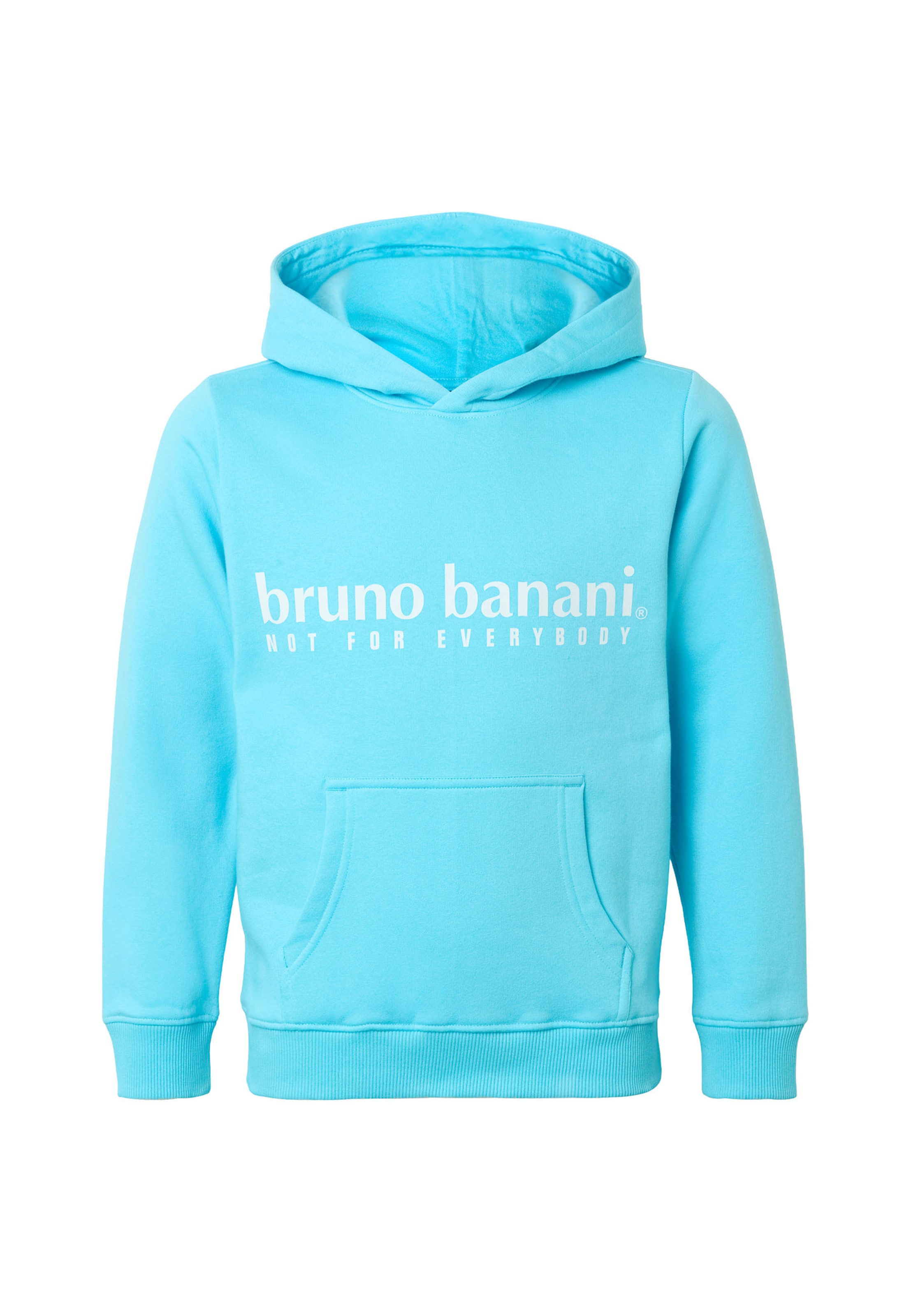 Felpa di Bruno Banani in blu: frontale