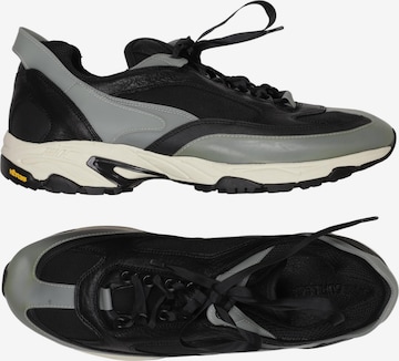 Dance Naturals Sneaker 43 in Mischfarben: Vorderseite