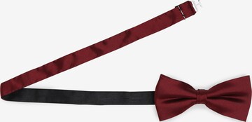 OLYMP Bow Tie in Red