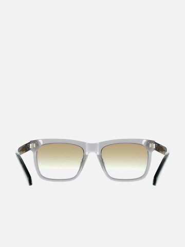 FERRAGAMO Zonnebril 'Ferragamo SF2113S Transparent sage 55/19/145 MAN Sunglasses' in Grijs
