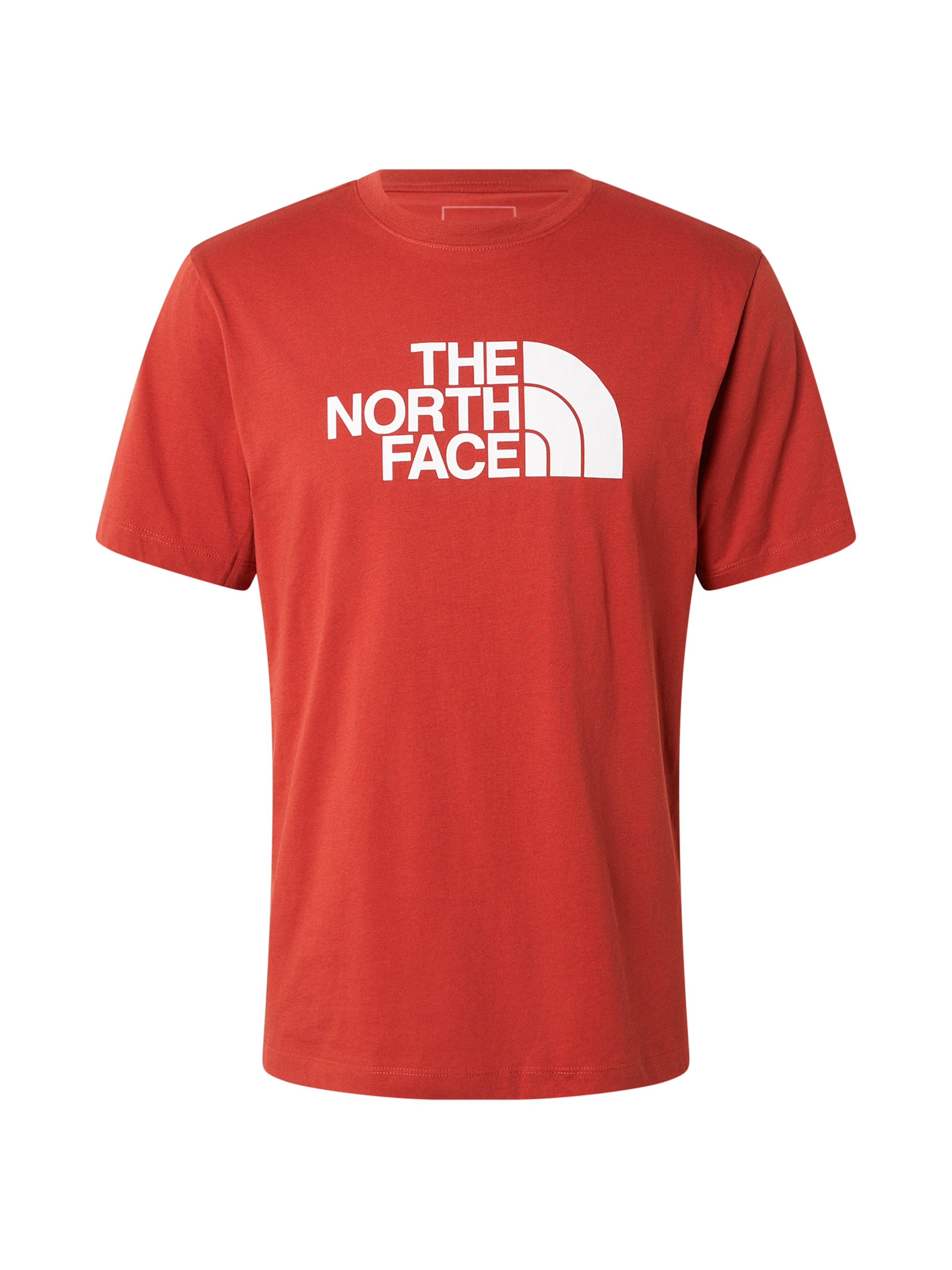THE NORTH FACE Póló 'EVOLUTION HALF DOME' - barna: elől