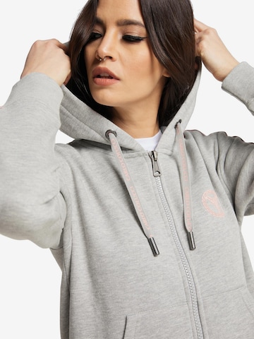 Carlo Colucci Zip-Up Hoodie 'Cattaruzza' in Grey