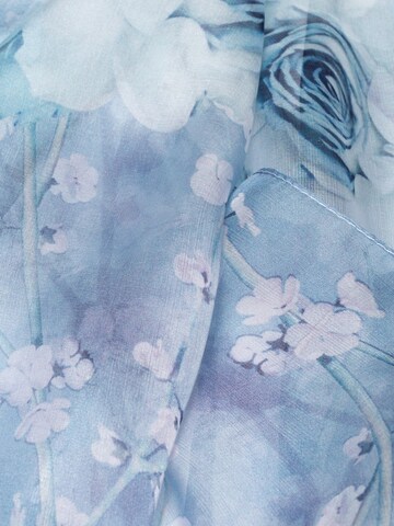MayTree - Chal en azul
