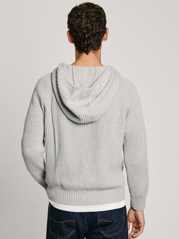 Pepe Jeans Trui in Grijs