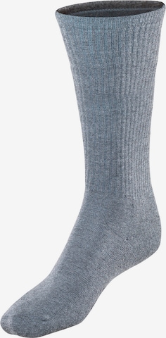 Blackspade Socks in Grey: front