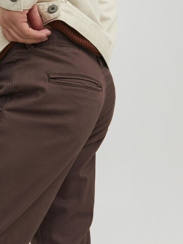 Slimfit Pantaloni eleganți 'JJMarco Bowie' de la JACK & JONES pe maro