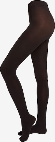 CALZEDONIA Tights in Black: front