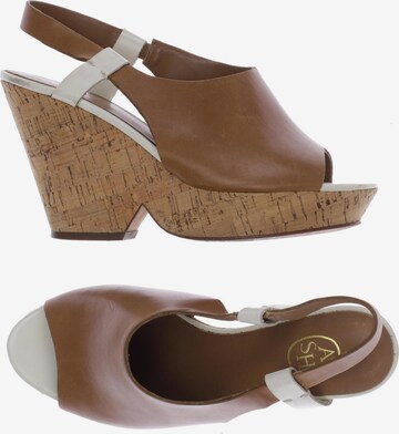 ASH Sandals & High-Heeled Sandals in 37 in Brown: front