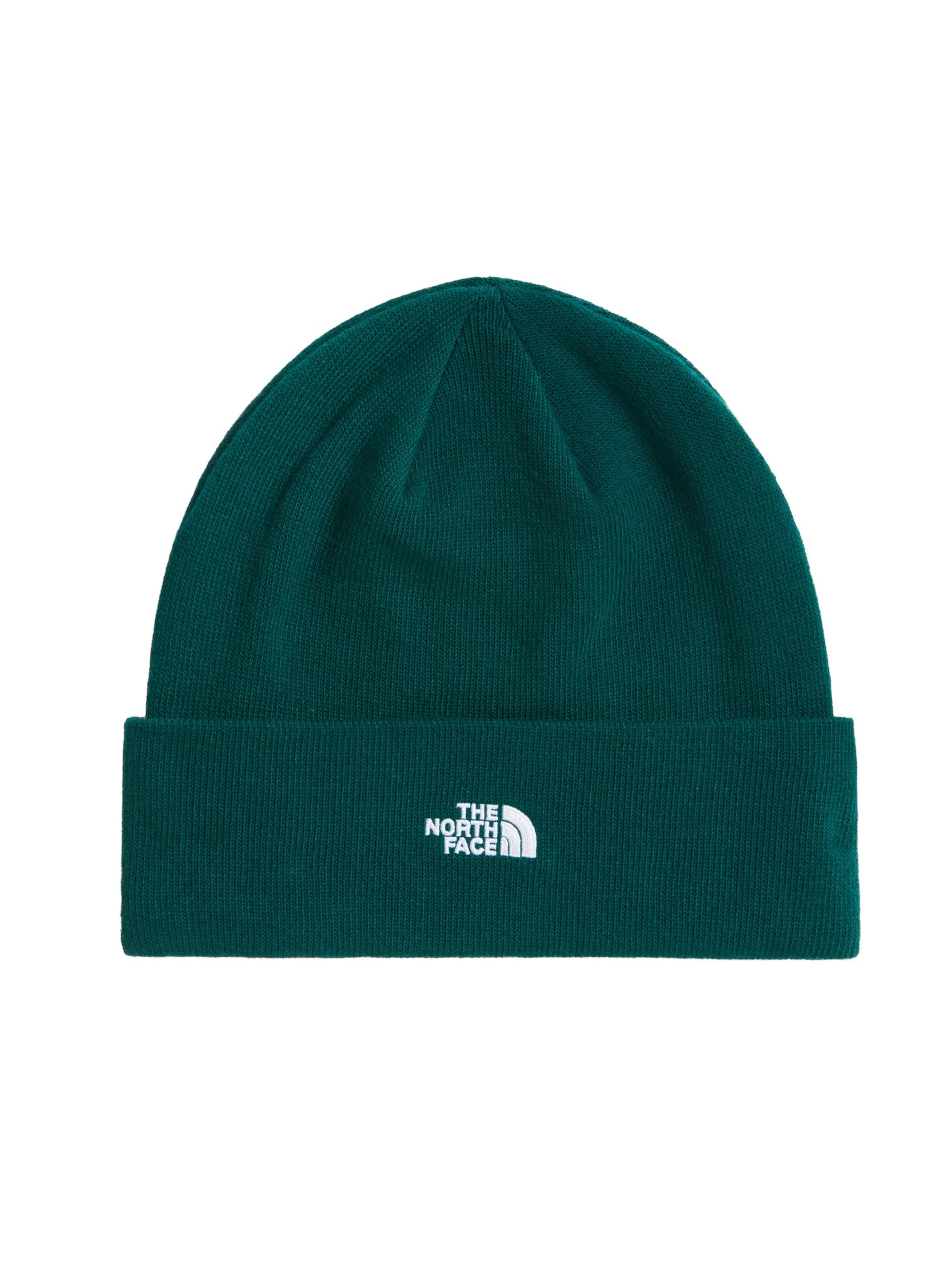 THE NORTH FACE Muts 'Norm' in Groen: voorkant