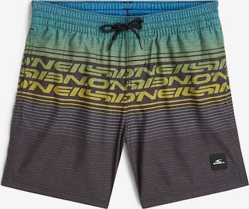 mišri O'NEILL Sportinis maudymosi kostiumėlis: priekis