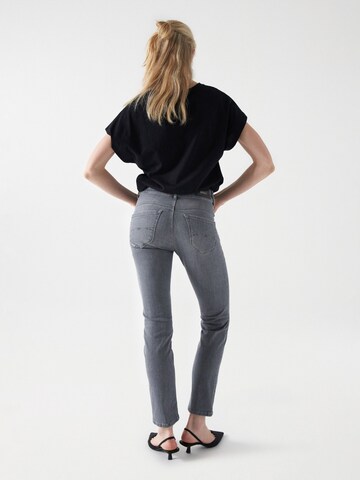 Salsa Jeans Skinny Jeans in Grau