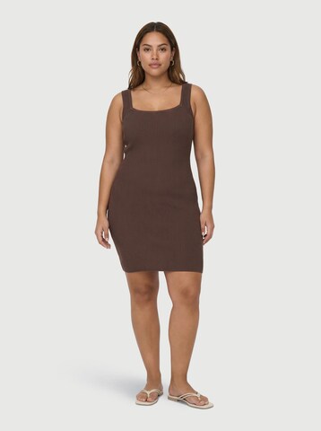 everly® Трикотажное платье в Коричневый