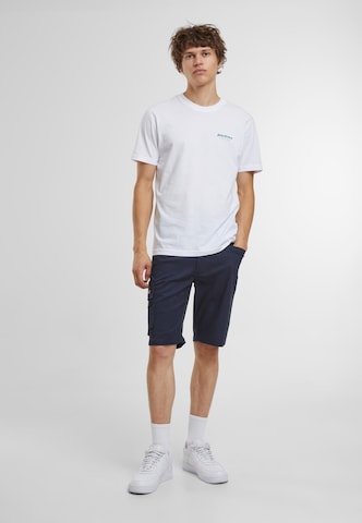 DICKIES Regular Shorts in Blau