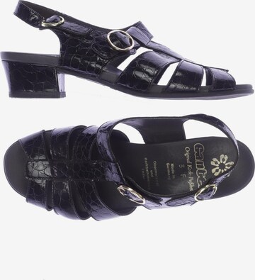 Ganter Sandals & High-Heeled Sandals in 39 in Black: front