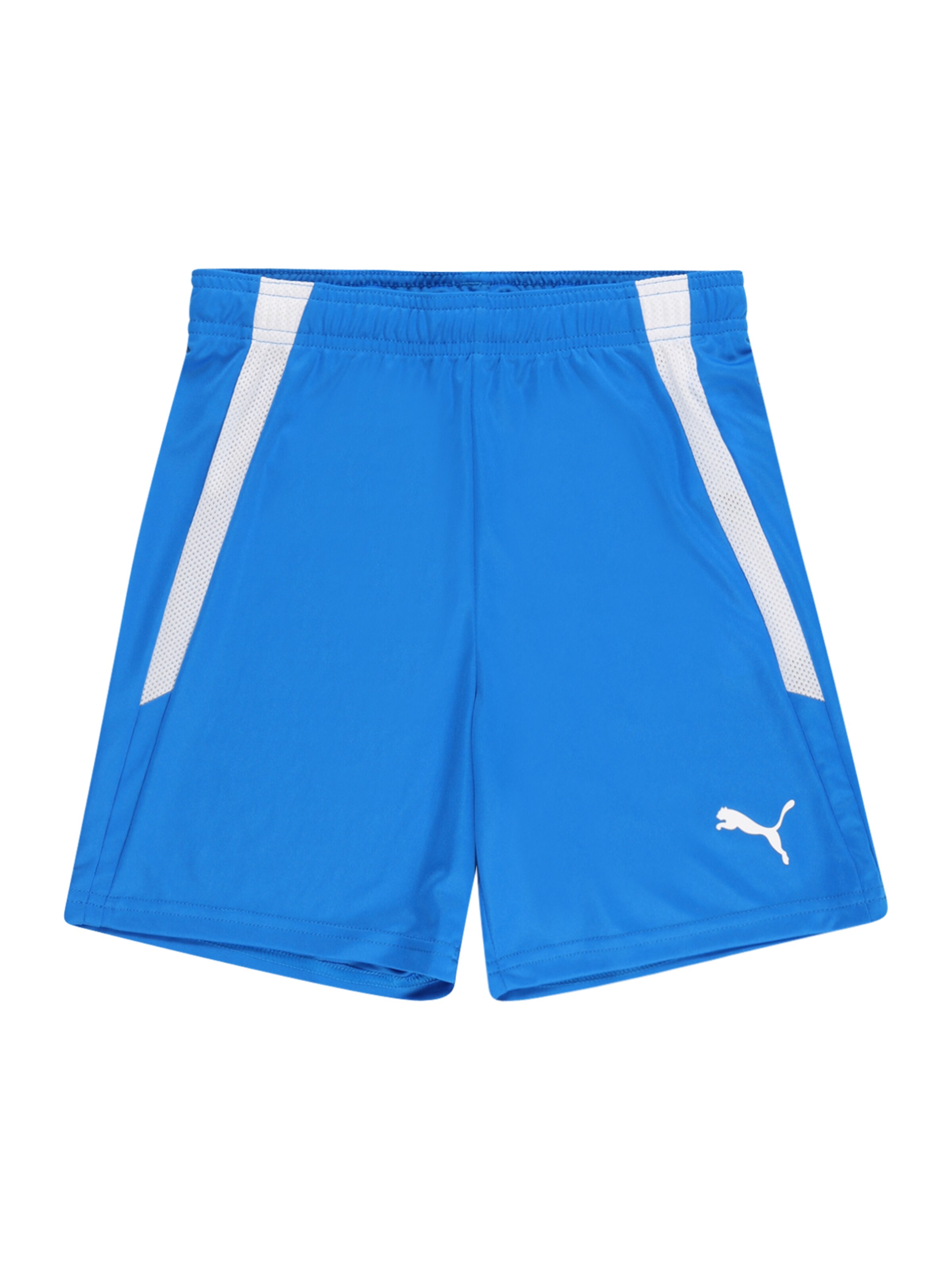 PUMA Sports trousers 'TeamLiga' in Blue: front