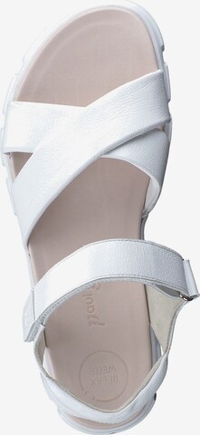Paul Green Sandals in White